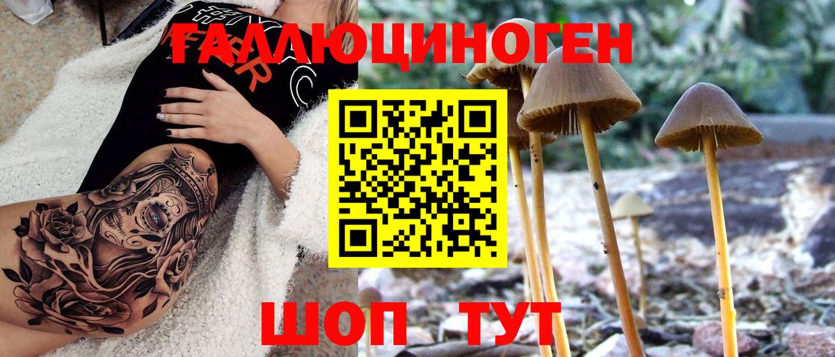 Туймазы  Галлюциногенные грибы мицелий  Вход с VPN 